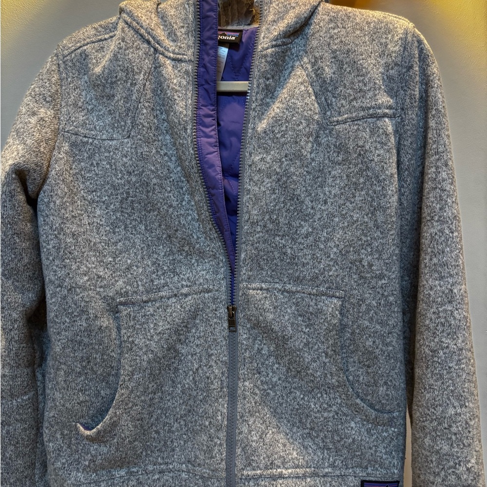 Patagonia Heather Gray Fleece Jacket